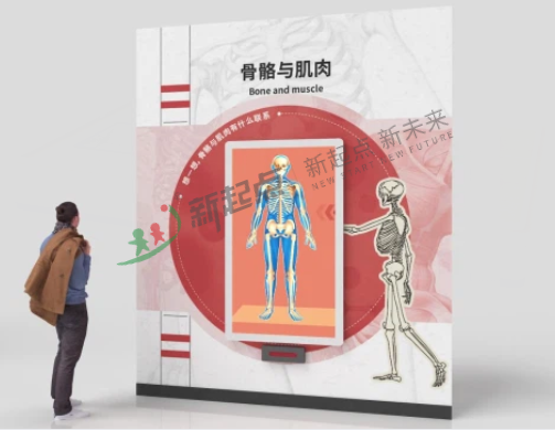 骨骼與肌肉
