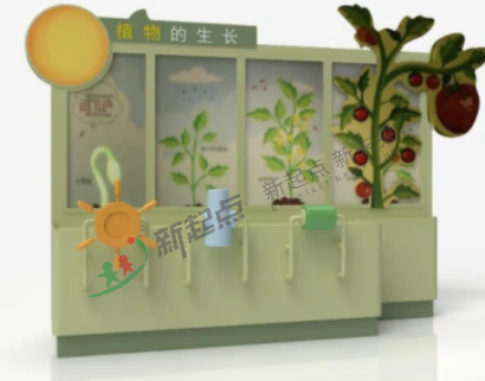 植物的生長(zhǎng)